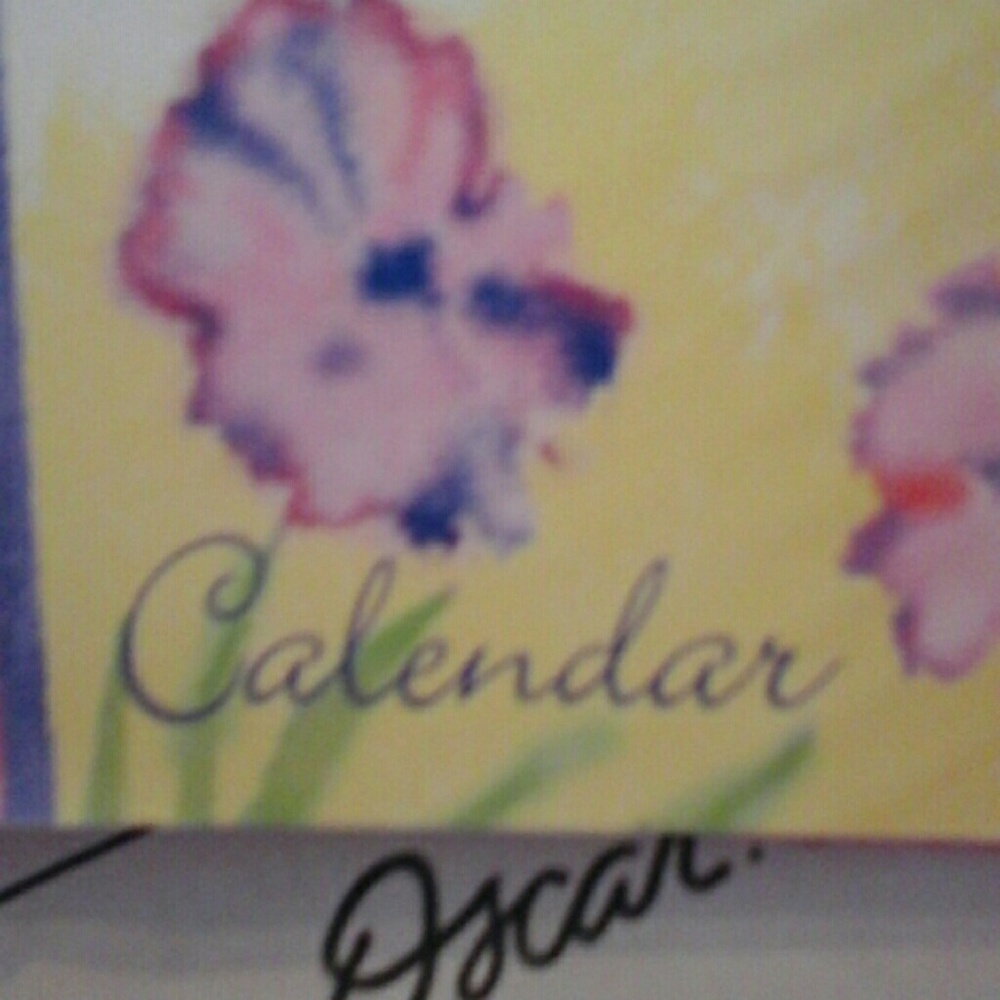Organizer - Picture 4 of 6